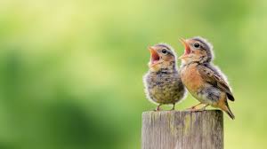 ಕಾಲ ಕಳೆಯುವ ಸಮಯ