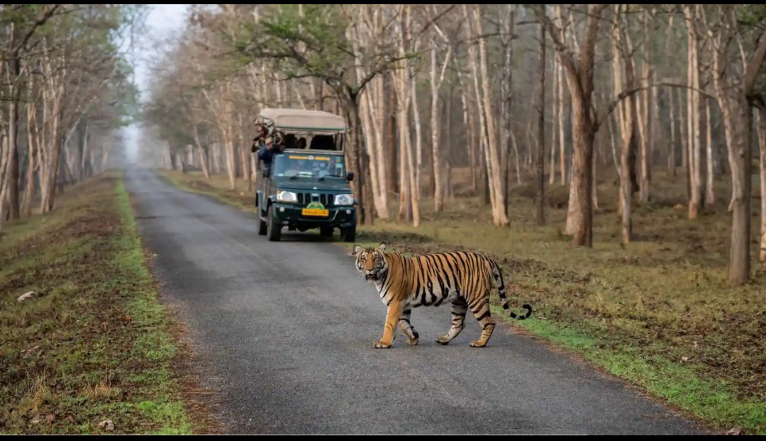ಮೈಸೂರಿನ ಕತೆಗಳು (ಭಾಗ ೧೩) - ಕಬಿನಿ ಉದ್ಯಾನವನ