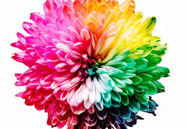 ಒಂದು ಒಳ್ಳೆಯ ನುಡಿ - 338