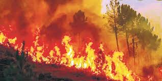 ಸ್ಟೇಟಸ್ ಕತೆಗಳು (ಭಾಗ ೧೫೦೫) - ಬೆಂಕಿ