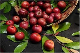 ಆರೋಗ್ಯದಾಯಕ ತಂಪಿನ ರಾಜ - ಪುನರ್ಪುಳಿ