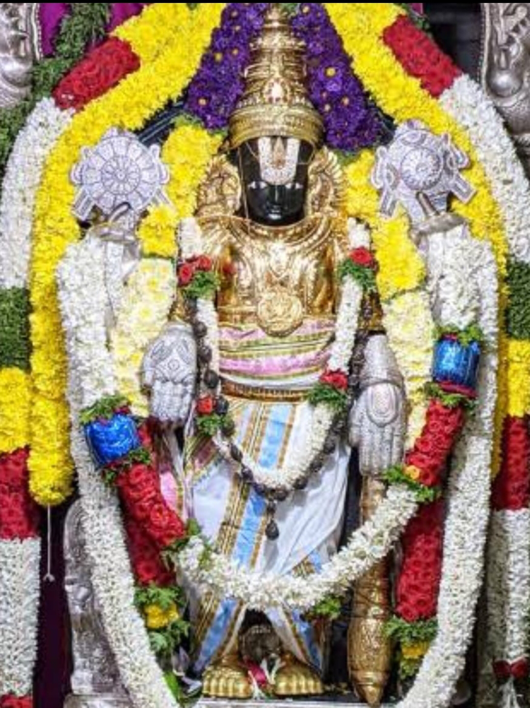 ತುರುವೇಕೆರೆಯ ‘ಸಂಪಿಗೆ’ ನೋಡಿ !