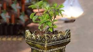 ವಿಷ್ಣು ಪ್ರಿಯೆ