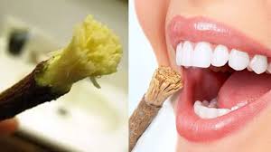 ಬ್ರಷ್ ಬದಲು ಬೇವಿನ ಕಡ್ಡಿ ಬಳಸಿ ನೋಡಿ !