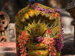 ನಮ್ಮ ನಿಷ್ಠೆ ಪ್ರಕೃತಿಗೆ...