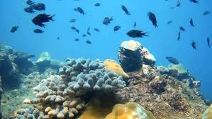 ಒಂದು ಗಝಲ್