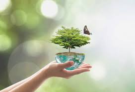 ನಮಗಾಗಿ ಪರಿಸರ ಮುಗಿದು, ಪರಿಸರಕ್ಕಾಗಿ ನಾವು ಎಂಬ ದುಸ್ಥಿತಿಯಲ್ಲಿ...