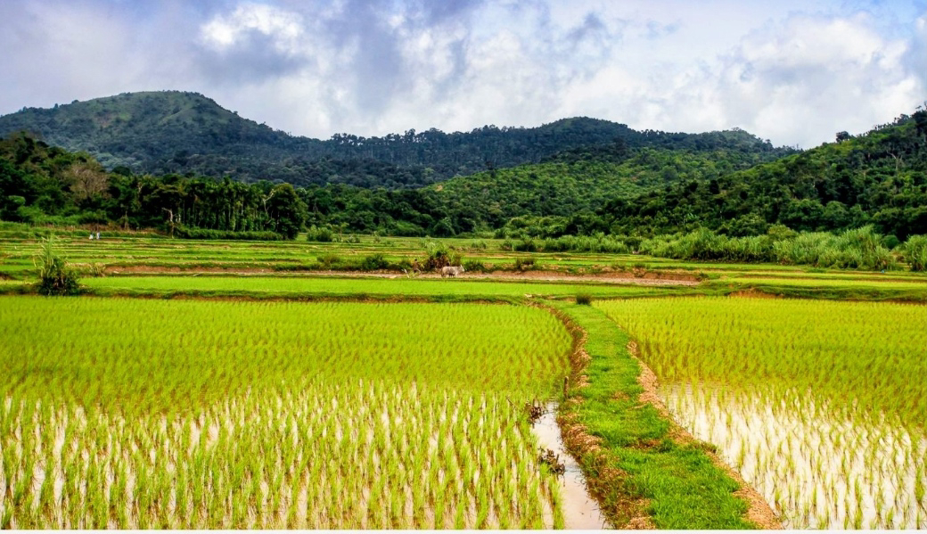 ಮೂಡಿಗೆರೆಯಲ್ಲಿ ಫಲ್ಗುಣಿ ಎಂಬ ಊರು