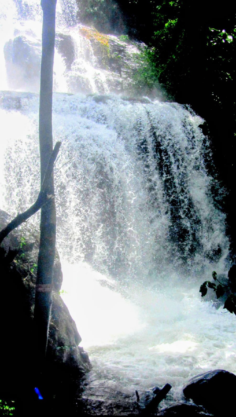 ಮಡಿಕೇರಿಯ ಪಾದೆಕಲ್ಲು ಜಲಪಾತ
