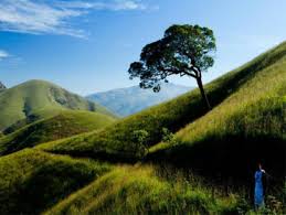 ಹನಿಗಳು ಸರ್ ಹನಿಗಳು !