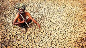 ಸ್ಟೇಟಸ್ ಕತೆಗಳು (ಭಾಗ ೧೪೯೮) - ಬೆಳೆ ಬೆಲೆ