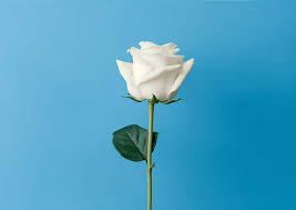 ಧನ್ಯವಾದ