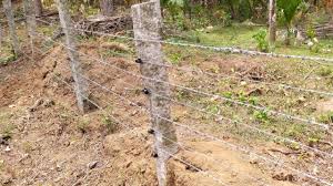 ಸ್ಟೇಟಸ್ ಕತೆಗಳು (ಭಾಗ ೧೩೮೫) - ಬೇಲಿ