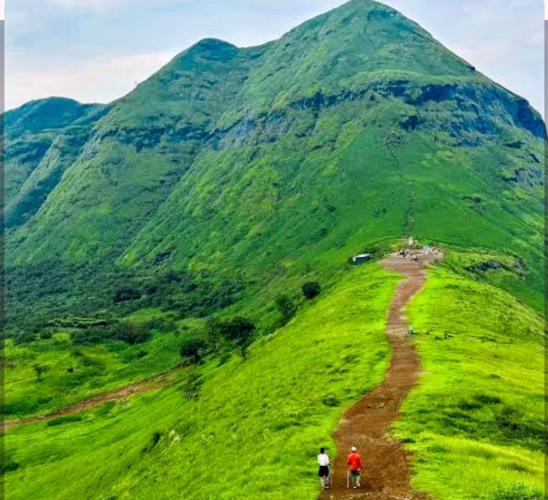 ಬ್ರಹ್ಮಗಿರಿ ವನ್ಯಜೀವಿ ಅಭಯಾರಣ್ಯ