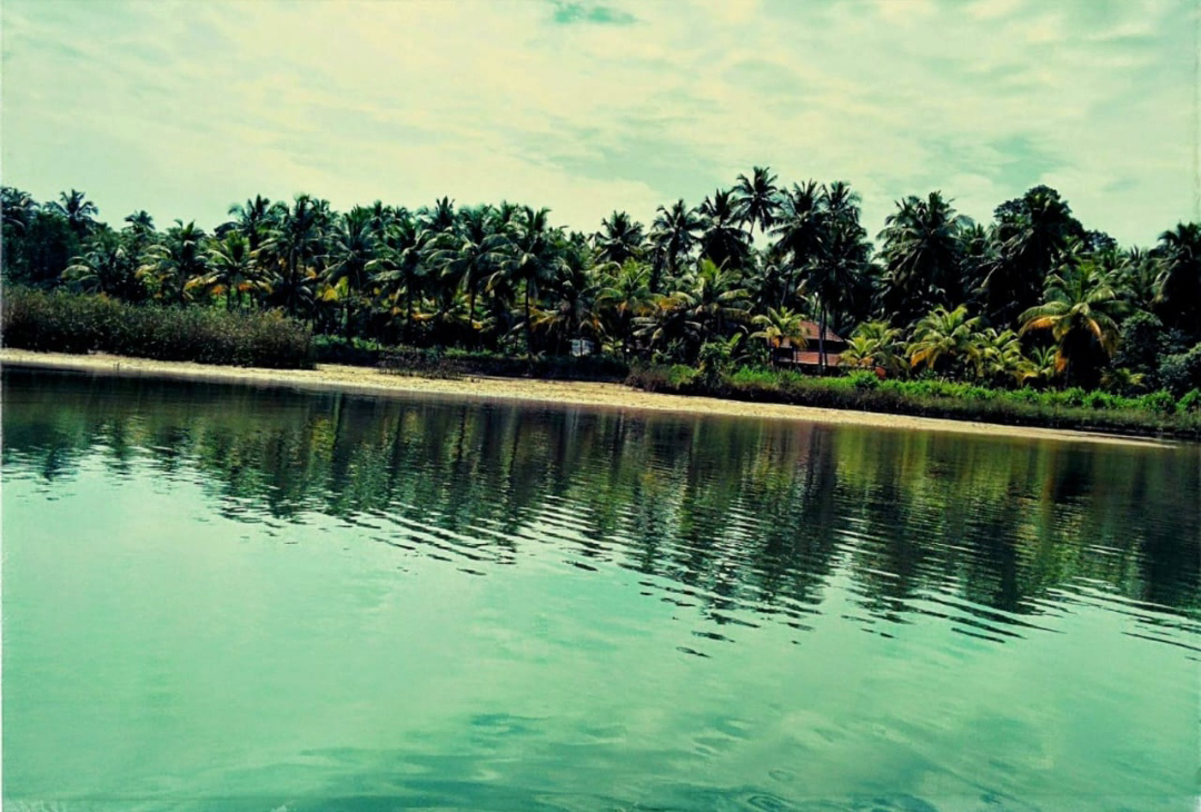 ನಯನ ಮನೋಹರ ಮಾವಿನ ಕುರ್ವೆ ದ್ವೀಪ
