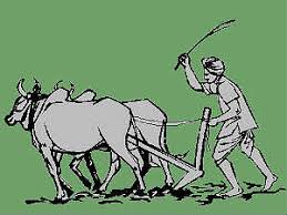 ಮನಸ್ಸು ಮಾಡಿದರೆ ರೈತ