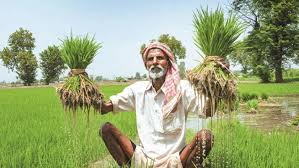 ಭತ್ತದ ರಾಶಿಯ ರೈತ, ಚಿನ್ನದ ಅಂಬಾರಿಯ ರಾಜ !
