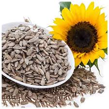 ಮುಖದ ಅಂದಕೆ ಪ್ರತಿನಿತ್ಯ ಸೂರ್ಯಕಾಂತಿ ಬೀಜಗಳನ್ನು ತಿನ್ನಿ