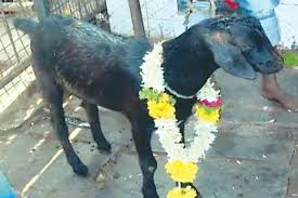 ಹನಿಗಳು ಸರ್ ಹನಿಗಳು !