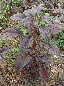 ಸ್ಟೇಟಸ್ ಕತೆಗಳು (ಭಾಗ ೧೨೯೫) - ಆಳ