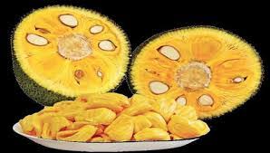 ಹಲಸಿನ ಹಣ್ಣು ಆರೋಗ್ಯಕ್ಕೆ ಉತ್ತಮ