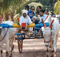 ಕೃಷಿರಂಗದ ನವಯುಗದ ಗಮನಾರ್ಹ ಬೆಳವಣಿಗೆಗಳು (ಭಾಗ 2)