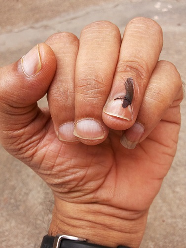 ಎಲ್ಲರೂ ಬೇಕು!