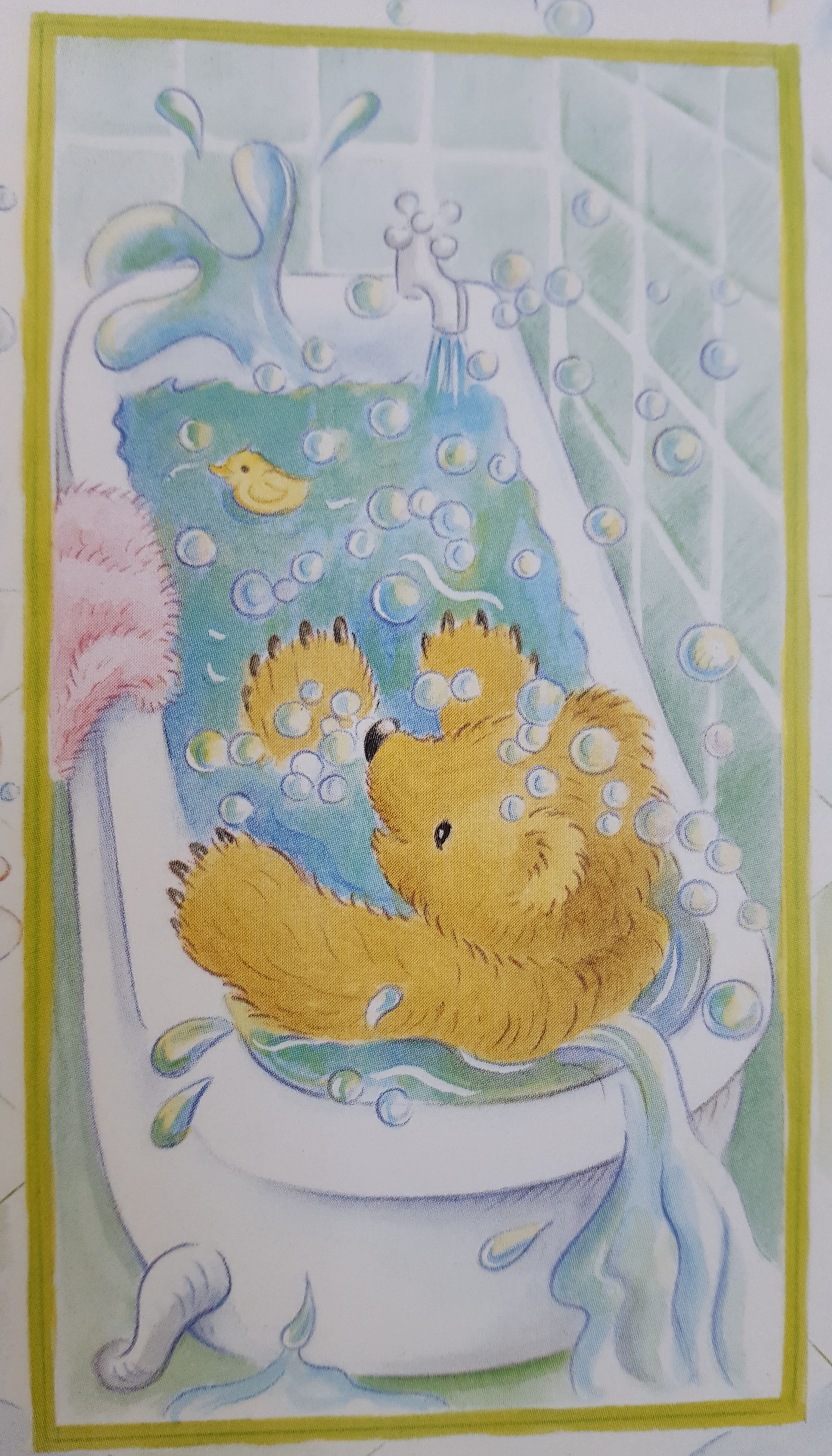 ಕರಡಿ ಮರಿ ಕಾಡಿಗೆ ಹೋಗಲೇ ಬೇಕು