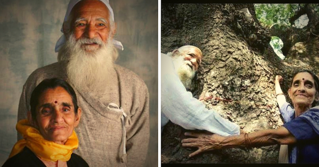 ಚಿಪ್ಕೋ ಆಂದೋಲನ: ಹಿಮಾಲಯದ ಅರಣ್ಯ ರಕ್ಷಣೆಗೆ ಜನಾಂದೋಲನ