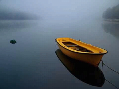 ಕವನ ಮತ್ತು ಕವಿತೆಗಳಲ್ಲಿನ ವ್ಯತ್ಯಾಸಗಳು