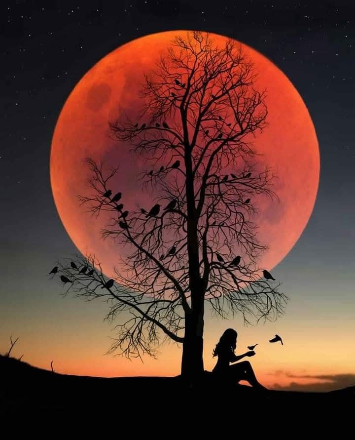 ಒಂದು ಗಝಲ್