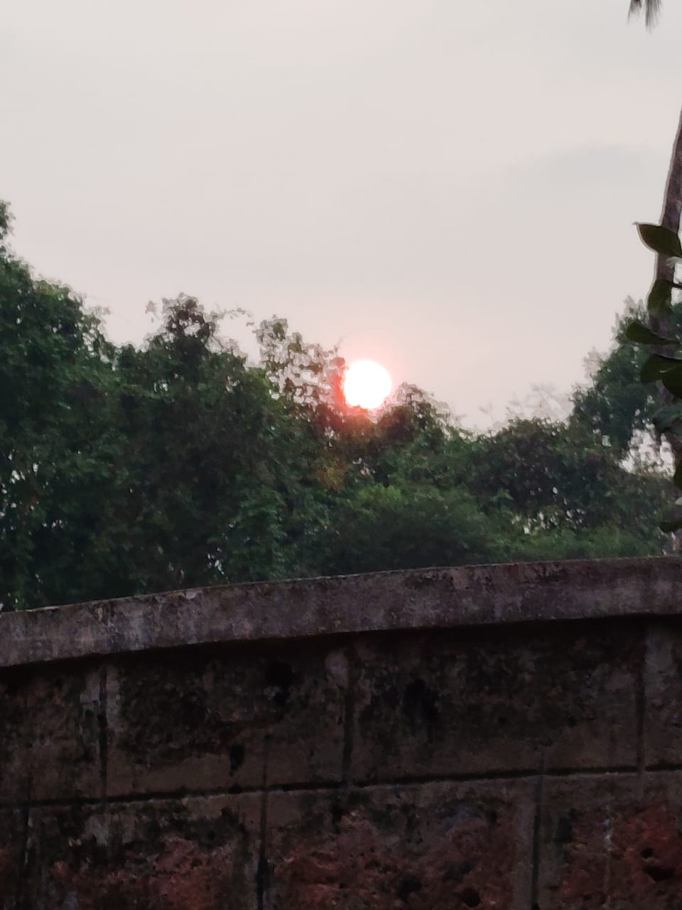 ಮುತ್ತಿನೊಲವು