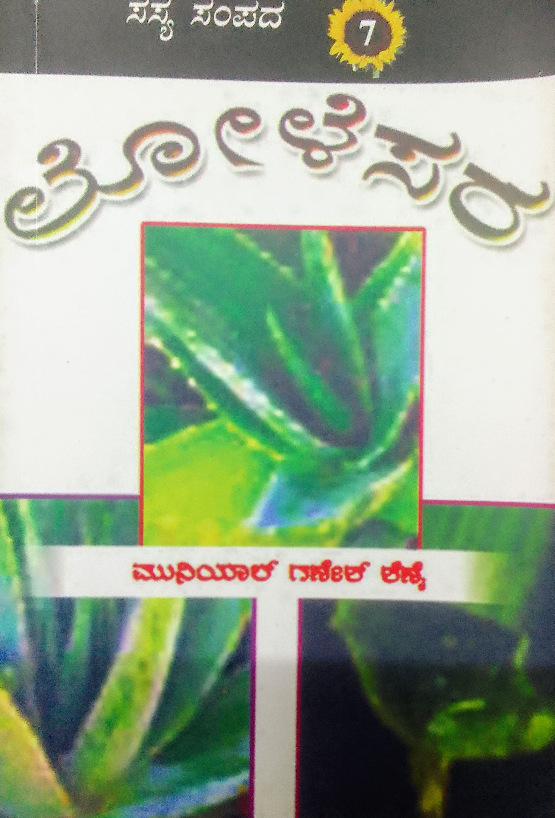 ಲೋಳೆಸರ