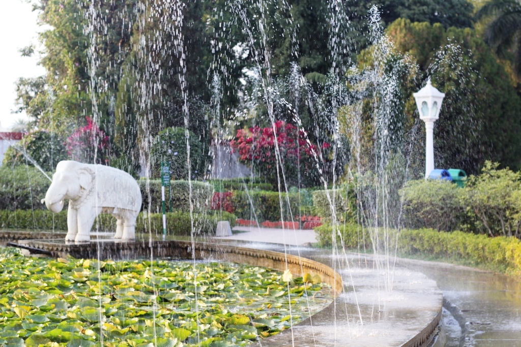 ರಾಜಸ್ಥಾನವೆಂಬ ಸ್ವರ್ಗದ ತುಣುಕು - 9 ರಾಣಾ ಪ್ರತಾಪನ ನೆಲದಲ್ಲಿ    ಲಕ್ಷ್ಮೀಕಾಂತ ಇಟ್ನಾಳ