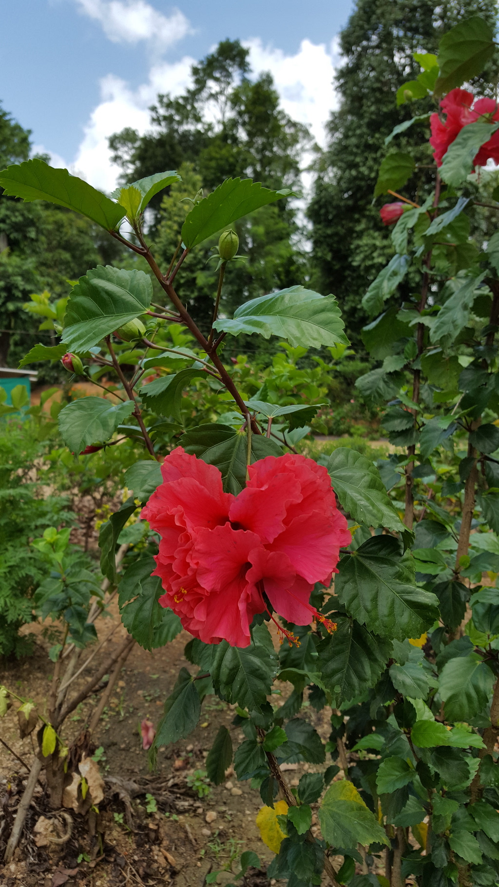 ಕಗ್ಗ ದರ್ಶನ – 13 (1)