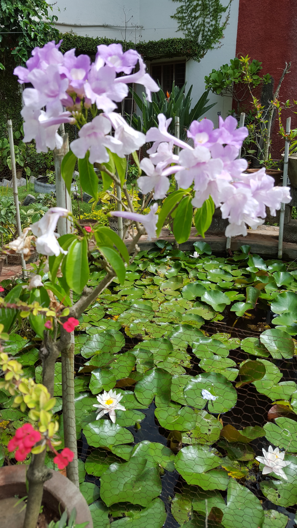 ಕಗ್ಗ ದರ್ಶನ – 14 (2)