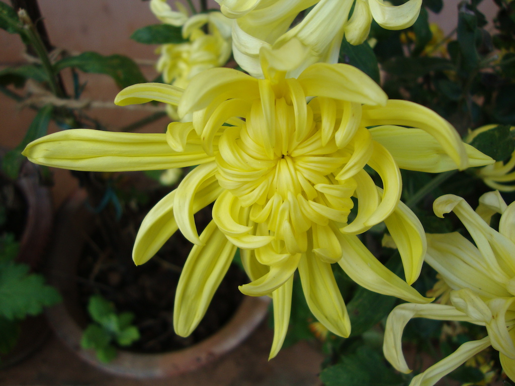 ಕಗ್ಗ ದರ್ಶನ – 48 (2)