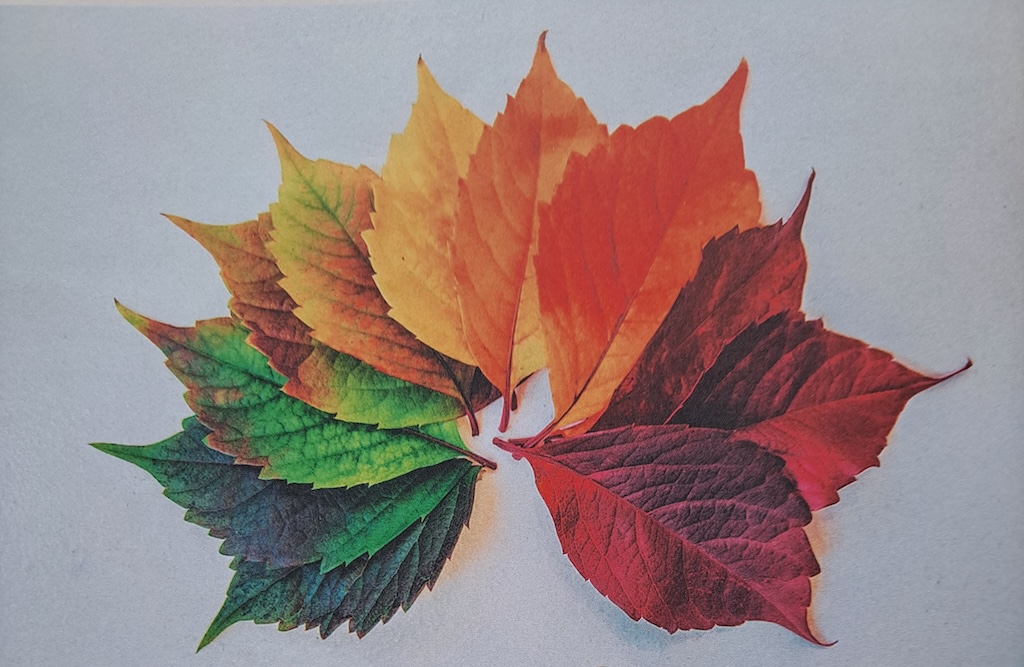 ಎಲೆಗಳಿಂದ ಕಲಾಕೃತಿಗಳು