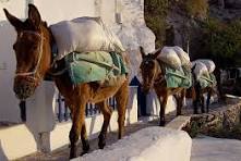 ಬೀಜಗಣಿತದ ಆಟ (4): ಕುದುರೆ ಮತ್ತು ಕತ್ತೆ ಹೊತ್ತ ಚೀಲಗಳು