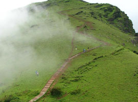 ಭಾನುವಾರದ ನಮ್ಮ ಕುಟುಂಬದ ದಿನಚರಿ (ಭಾಗ 1) 