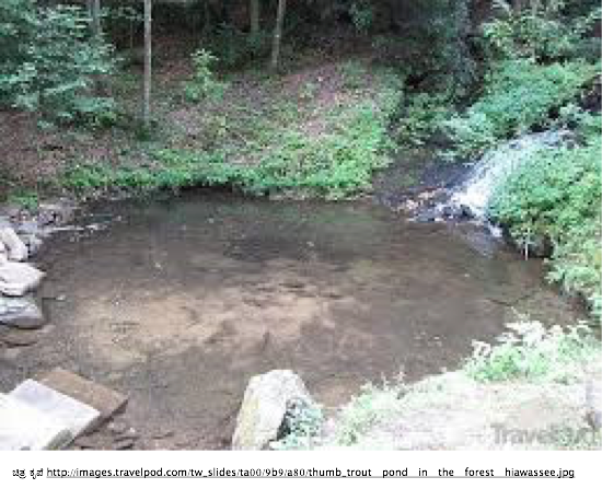 ಬಿಳಿಮಣ್ಣಿನಲ್ಲಿ ಕಳಚೆಯ ಕೃಷಿಕರ ಜಲವಿಜ್ಞಾನ!