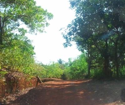 ಅಣ್ಣಿ ನಾಯ್ಕ' ಹಳ್ಳಿಯ ನಡೆದಾಡುವ ಬಜಾರ್