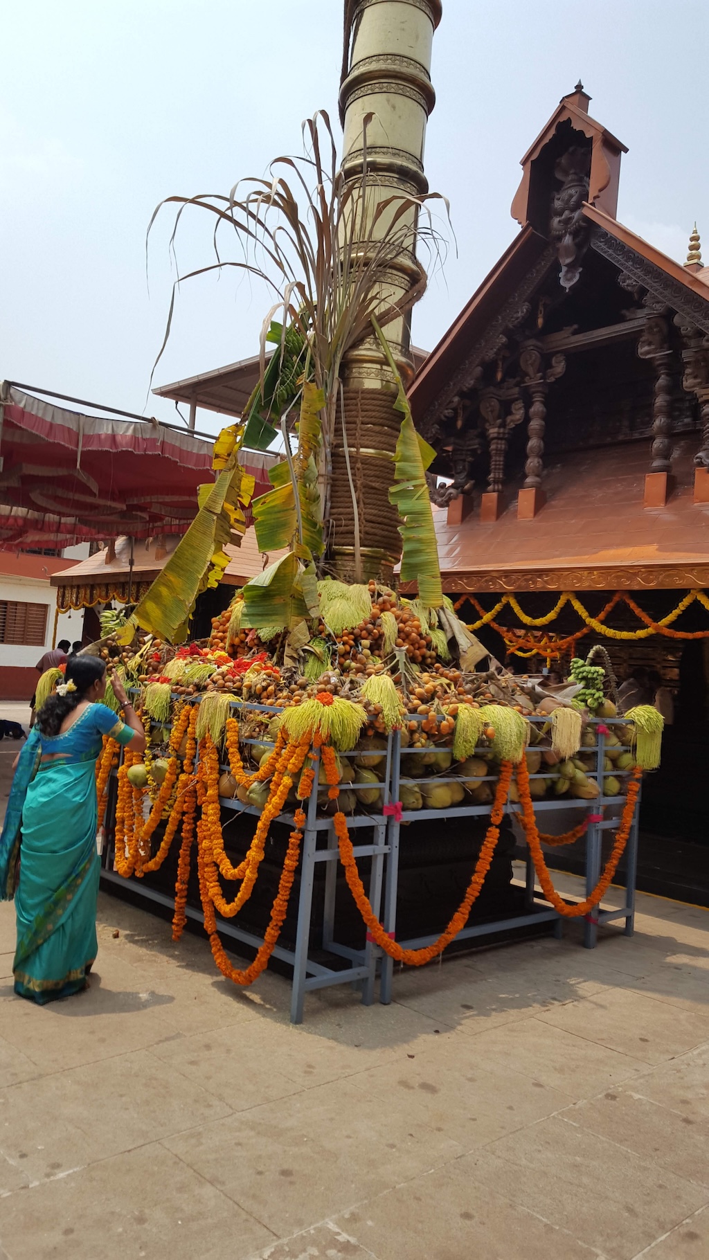 ಕವನ (3) ಸಾರ್ಥಕ ಬದುಕು 