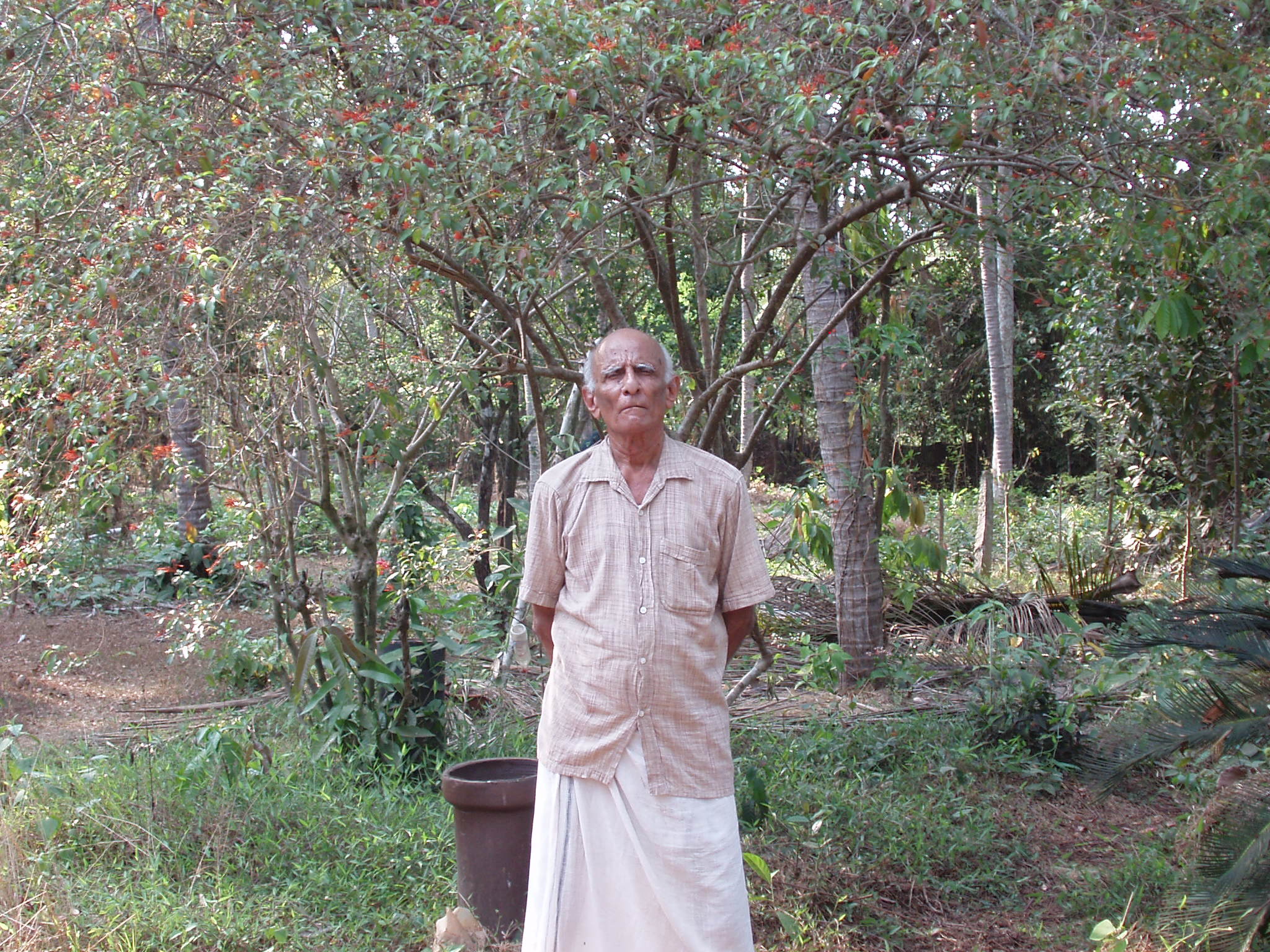 ಎಂಬತ್ತರ ಕೊಯ್ಲಿನ ಕಾಳುಗಳು: ಕೃಷಿ ಬದುಕು (ಭಾಗ 3): ವಿವಿಧ ಬೆಳೆಗಳ ಪ್ರಯೋಗಗಳು - ಕಲಿತ ಪಾಠಗಳು 