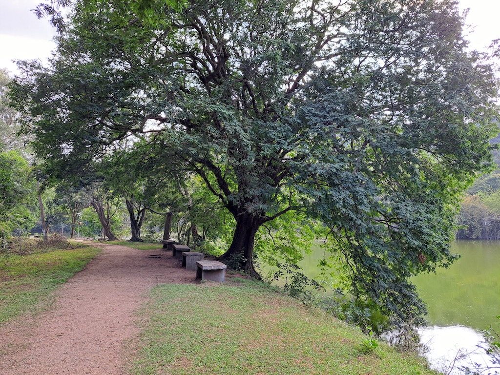 ಕವನ (1): ನಿಸರ್ಗ ಸುಂದರಿ 