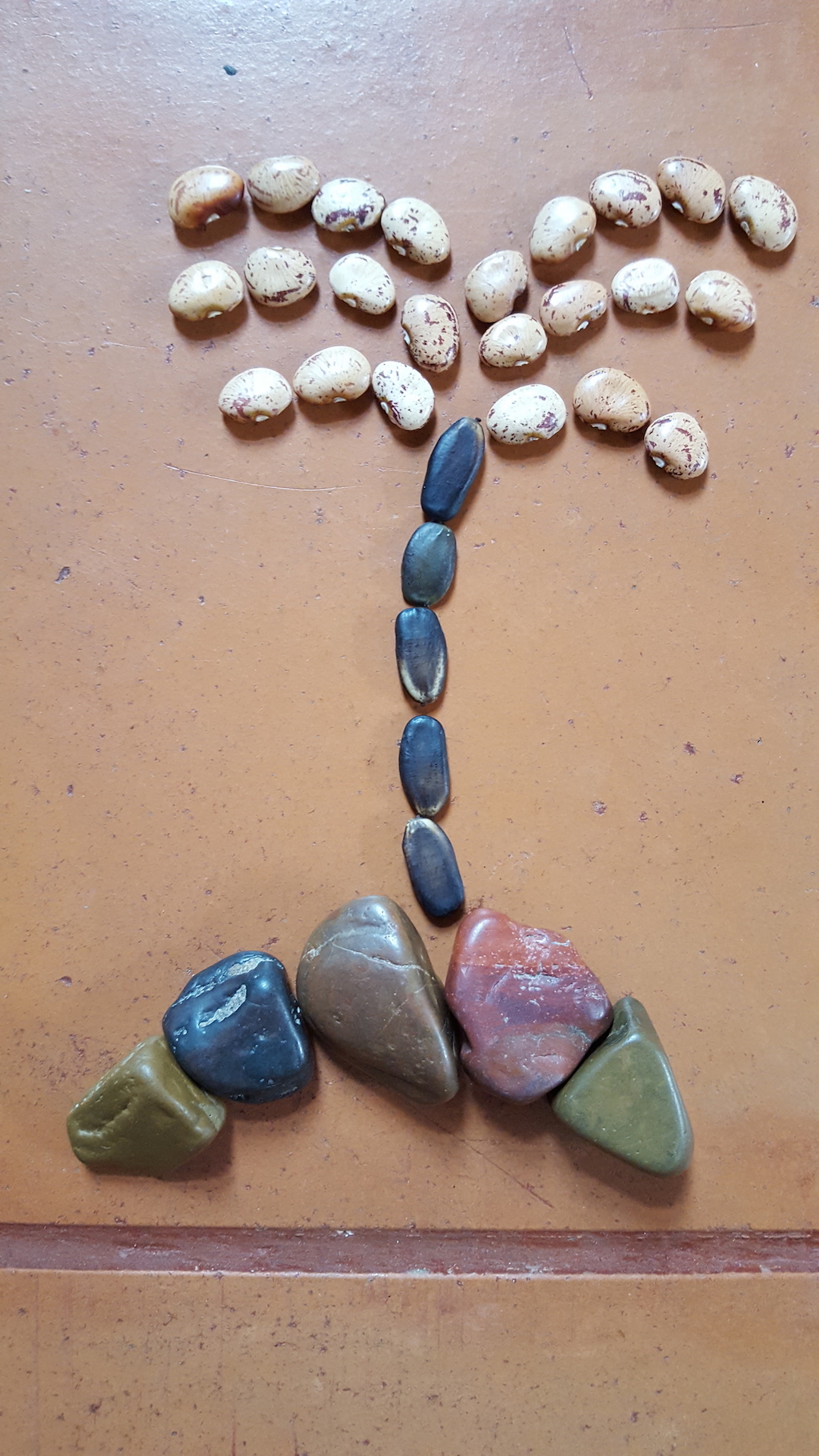 30,000 ವರುಷ ಪುರಾತನ ಬೀಜದಿಂದ ಸಸ್ಯ ಪುನರುಜ್ಜೀವನ …