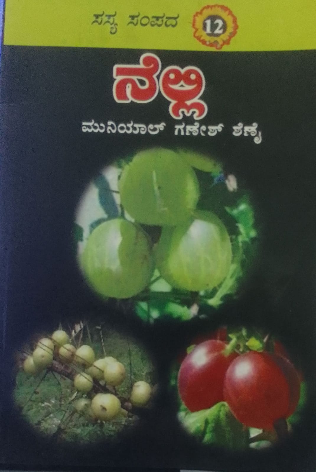 ನೆಲ್ಲಿ