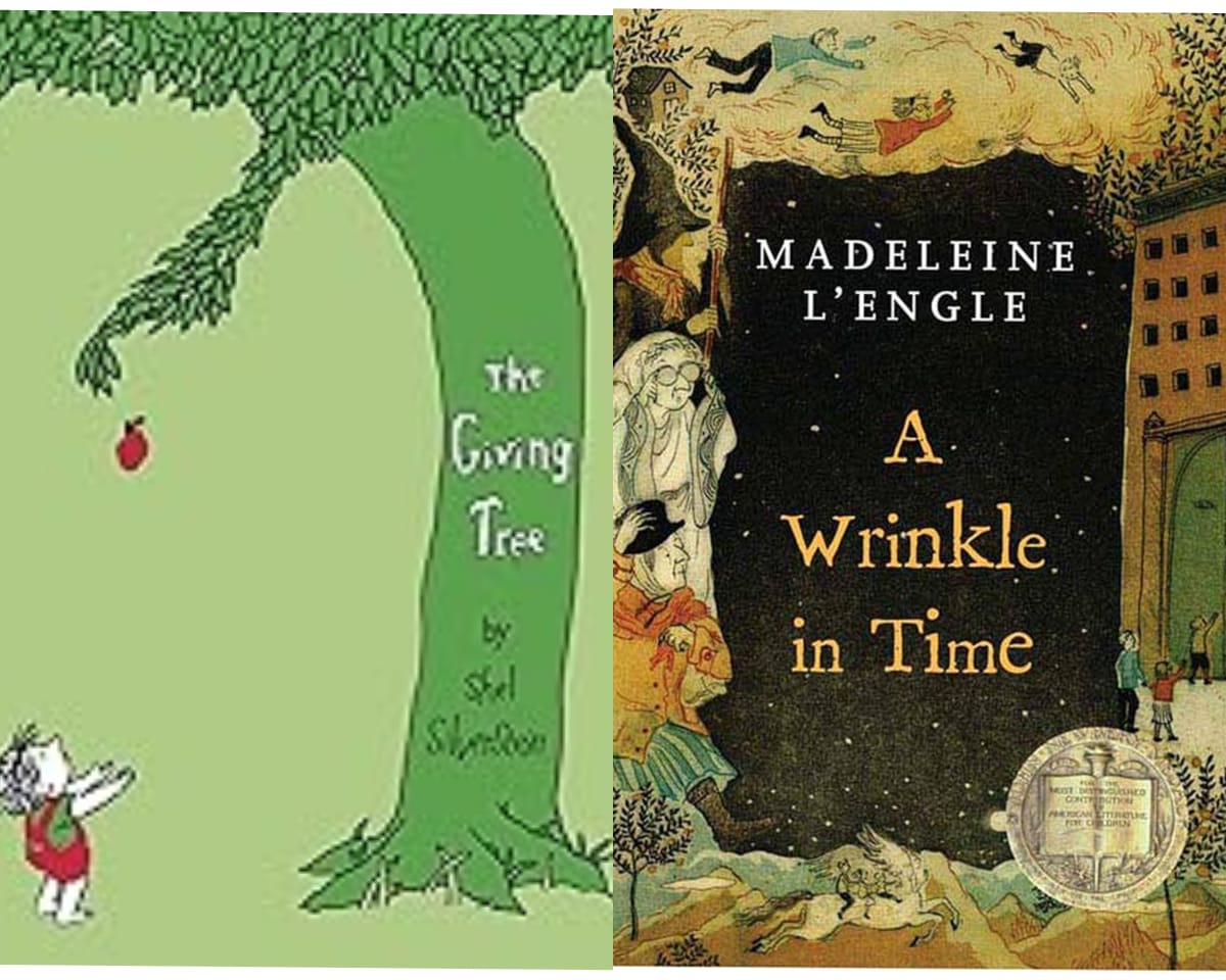 ಮಕ್ಕಳಿಗೆ ರಜೆಯ ಓದು (ಭಾಗ ೧೯) - ದಿ ಗಿವಿಂಗ್ ಟ್ರೀ