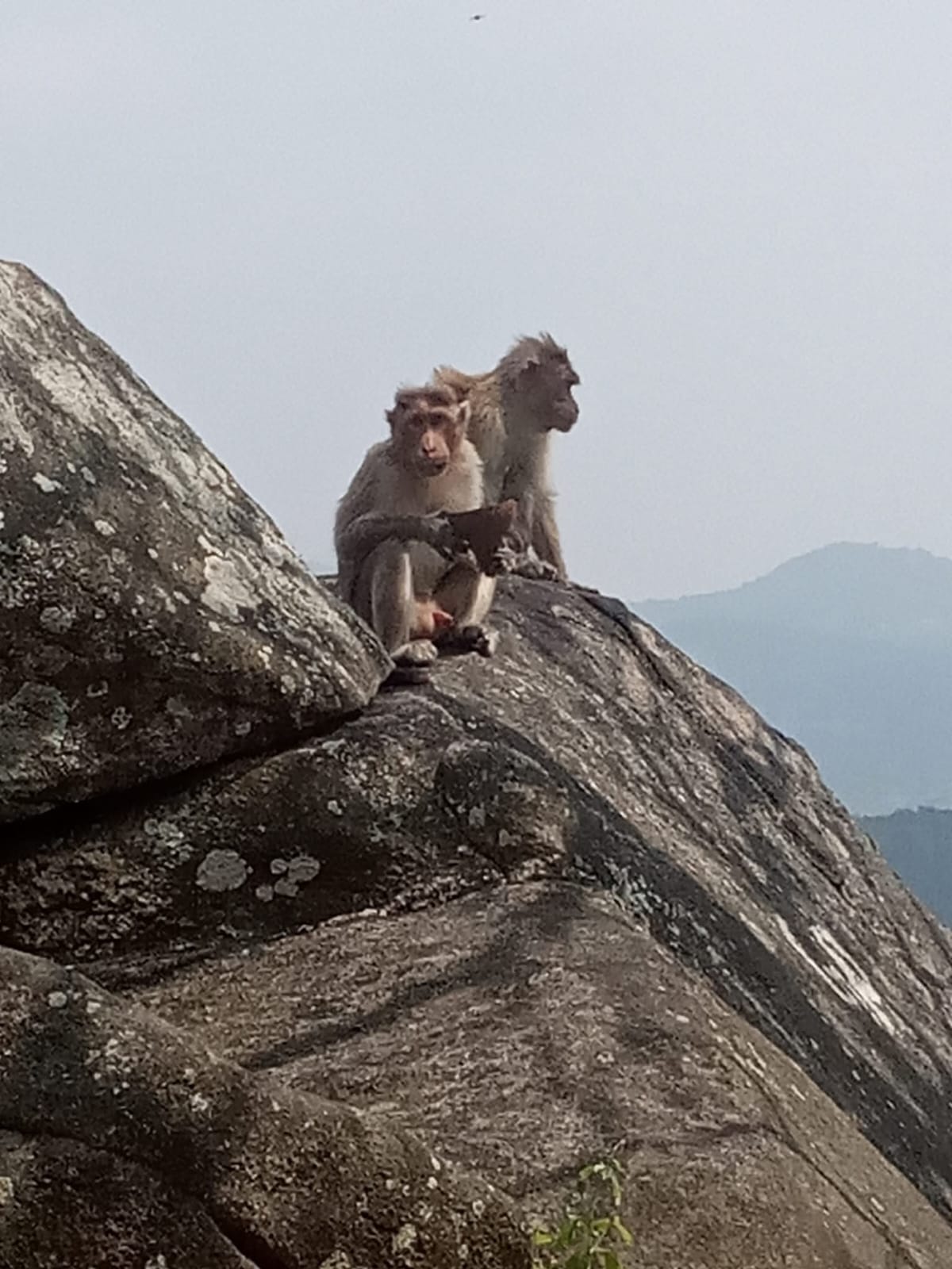 ಒಂದು ಗಝಲ್