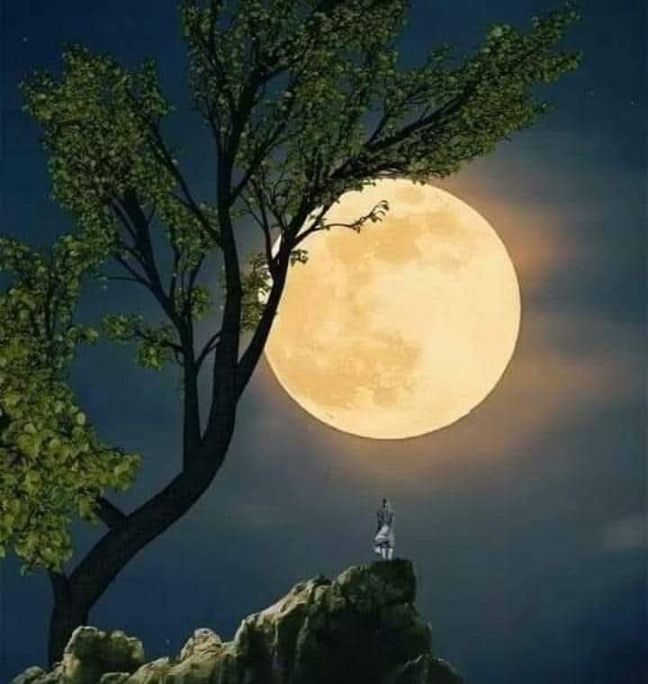 ಯೌವನವು ಜಾರಿದಾಗ…